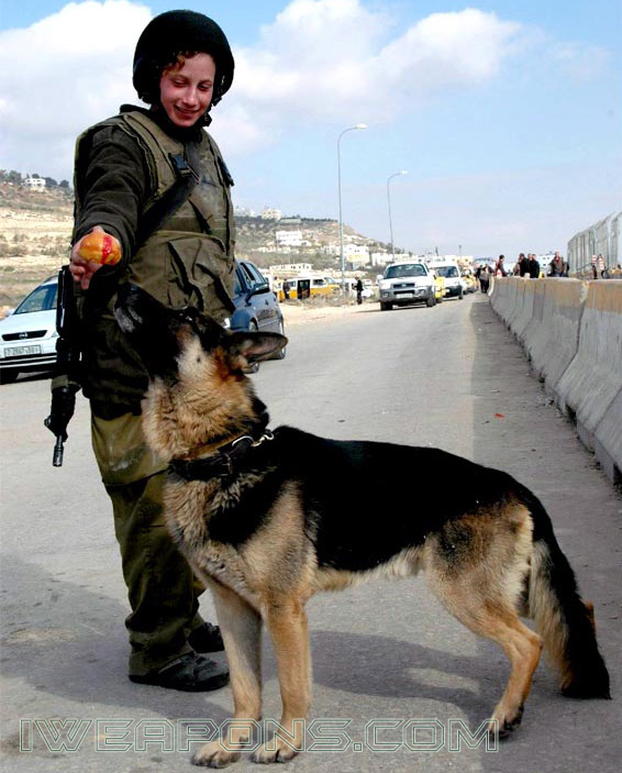 IDF Introduces New Tactical Bulletproof Vest for Female Soldiers