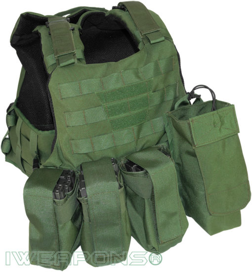 IWEAPONS® MOLLE IDF Green Rifle Mag Pouch – IWEAPONS®