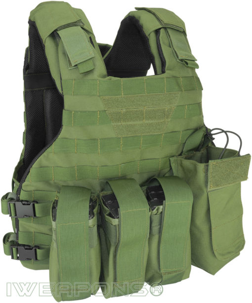 IWEAPONS® Commander MOLLE Bulletproof Vest with Assault Pouches Front View