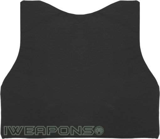 IWEAPONS® Military Back/Rear Aramid Ballistic Panel - Size Small